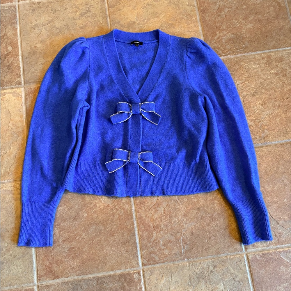 Express Blue Sweater with Bow Accents